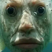 Cân mọi nhân vật