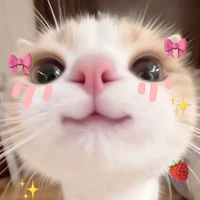 [hệ thống]