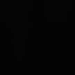 Nvp 4
