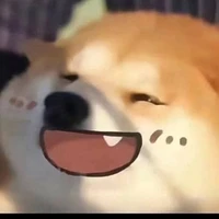 tác giả zui tính