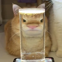 『Giáo viên. .』