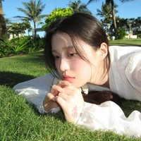Han Sara