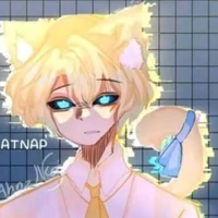 anti catnap