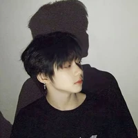 Trần Dịch Hằng (em )