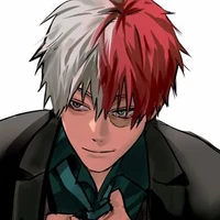 Todoroki Shouto