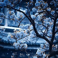 nhân vật bí ẩn