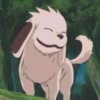 Akamaru