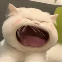 Con T/G Mỏ Hỗn