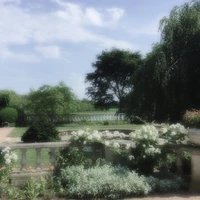 𝐍𝐡𝐚𝐧 𝐯𝐚𝐭 𝐛𝐢 𝐚𝐧