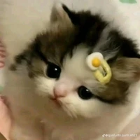 LÊ HOA