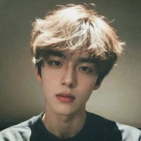 Lâm Thanh Mặc-hắn