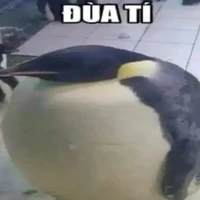 t/g ngôn lù vt H 🙏 