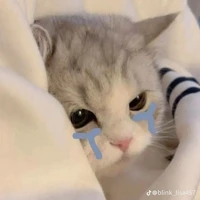 Tác Giả cute