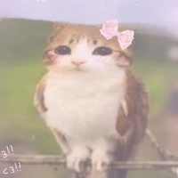 Cirbloony[tác giả]