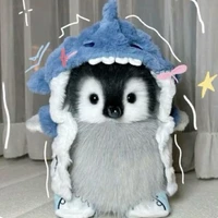 Cả lớp/Cả nhóm