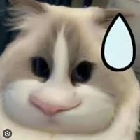 t/g cuồng tan đến phát điên