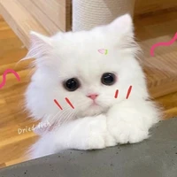 hệ thống vô dụng:))