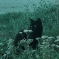 𝐀𝐤𝐚 𝐃𝐨𝐫𝐲𝐬💫[𝐭𝐚́𝐜 𝐠𝐢𝐚̉]