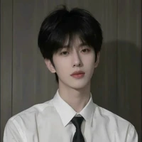 Phạn Hoàng Huy-Huizd-1991