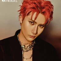 Đỗ Việt Tiến - Rio