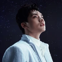 Ngô Nguyên Bình - Vương Bình