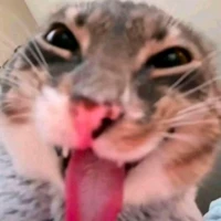 t/g bị trĩ