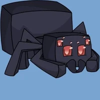 ♬𝐒𝐩𝐢𝐝𝐞𝐫