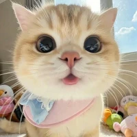 🥑¿Trâm?🌷(bạn thân t/g)