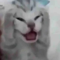 T/g bị lười🥱