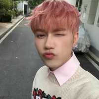 Nguyễn Thái Sơn-jsol