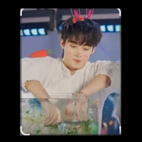 Đỗ Hải Đăng(Hải Đăng Doo)