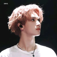 Nghiêm Hạo Tường