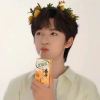 Hạ Tuấn Lâm