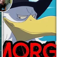 morgans