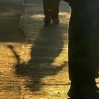 Nữ