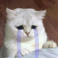 nhã uyên/con bò 🐮 ( bạn me)