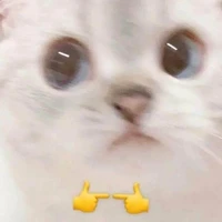 Bích Phượng/bà già (chị họ me)