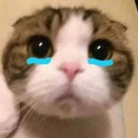 hồng phát/bạn yêuuu(bạn thân me)