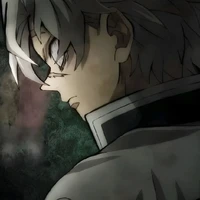 Shinazugawa Sanemi • 不死川 実弥