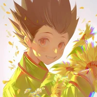 Gon Freecs