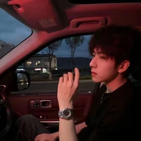 Tô Diệp Nam