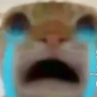 √••°thái°••√