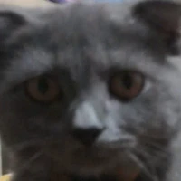 Bàbánhàngđacấp(0bánđồsida😊💅)