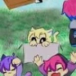 hiha anti catnap