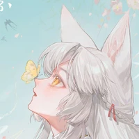 Nomi