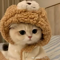 trang //lớp trưởng//