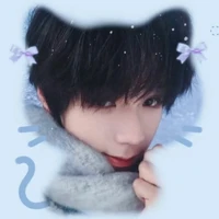 Vương Lỗ Kiệt