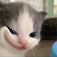 Lại là nhỏ t/g của các nàng đêy