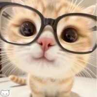 tác giả cutte nhất trái đất