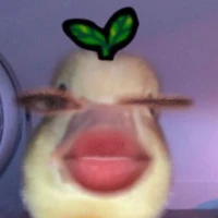 Su